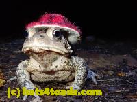 /home//u458753944/public_html/sourcegallery///////////McKaig Nature Center/2020-09-27/P9270737.JPG